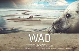 WAD film