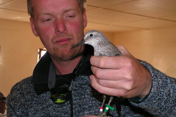 Banc d'Arguin 2007 - Theunis Piersma