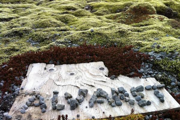 The Alvaret Ensemble - Artist in Residence Skeylja, Iceland