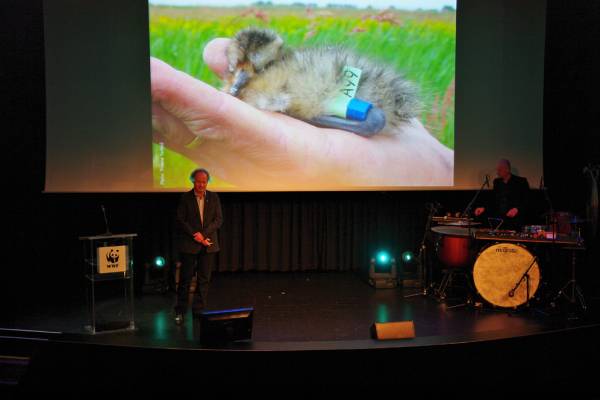 Music of Migration at WWF in Rotterdam - Rob Buiter