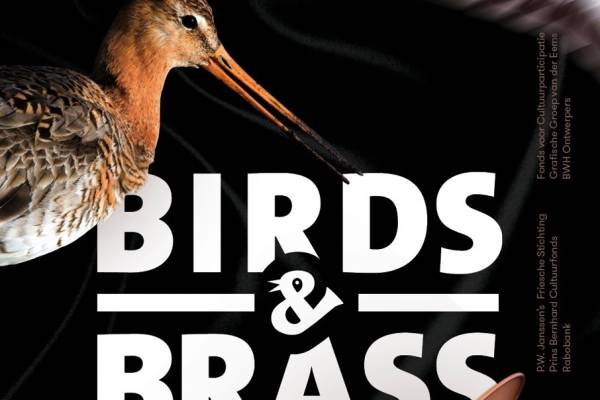 Birds & Brass 1