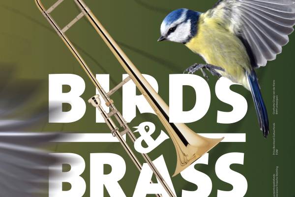 Birds & Brass 2